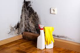 Best Industrial Mold Remediation  in Stanberry, MO